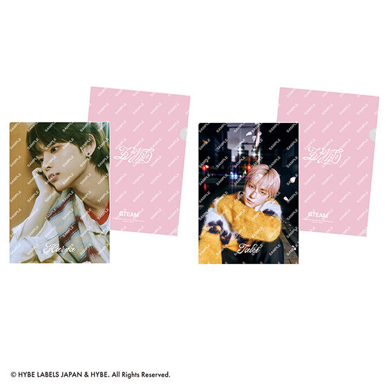 &team clear file collection